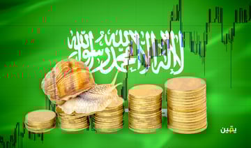 صندوق الاستثمارات العامة السعودي: ما هو وما أهميته الاقتصادية للمملكة؟