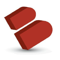BIO-key International, Inc. Common Stock