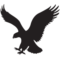 American Eagle Outfitters Inc